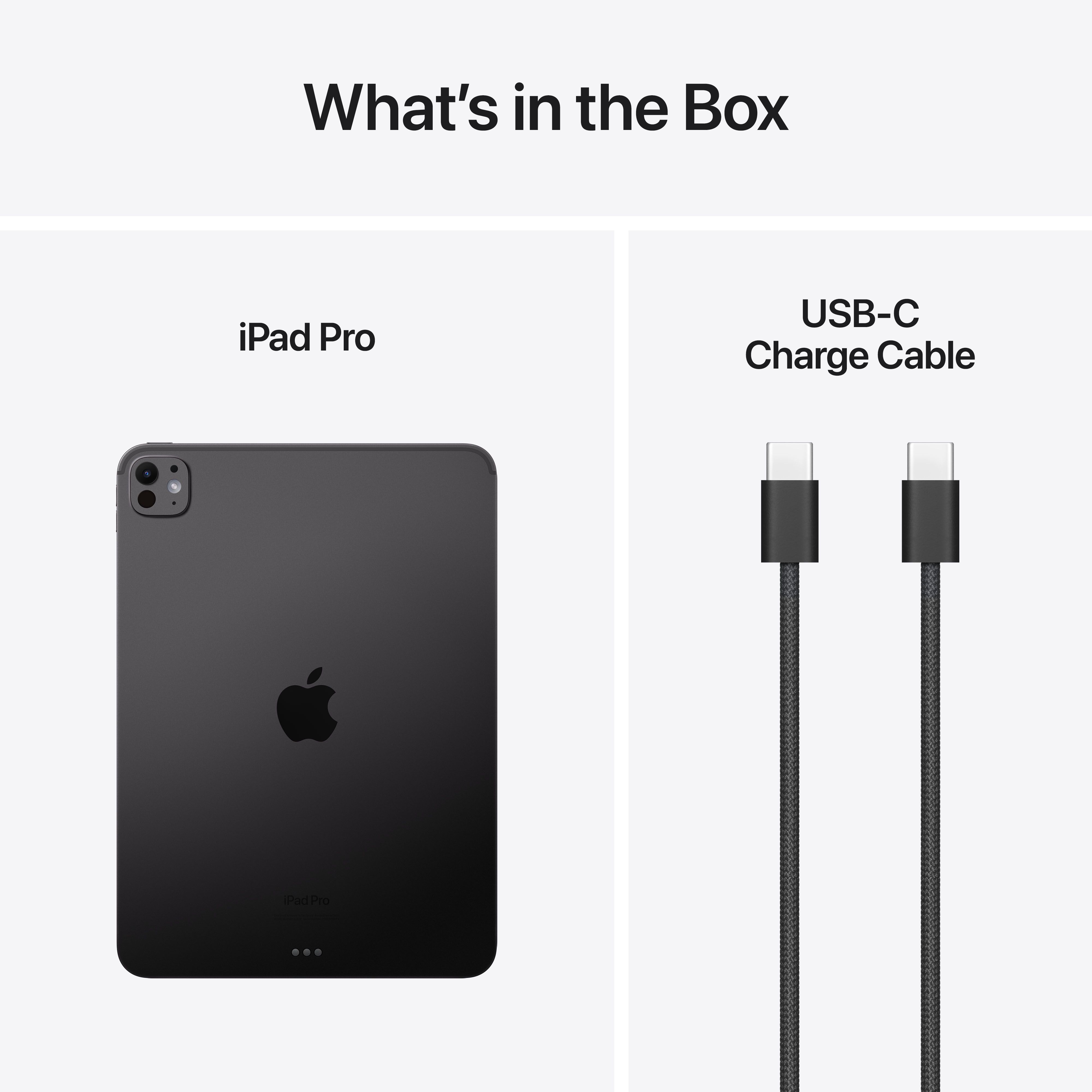 iPad Pro 11" 256GB WiFi 2024 - Space Black image 11