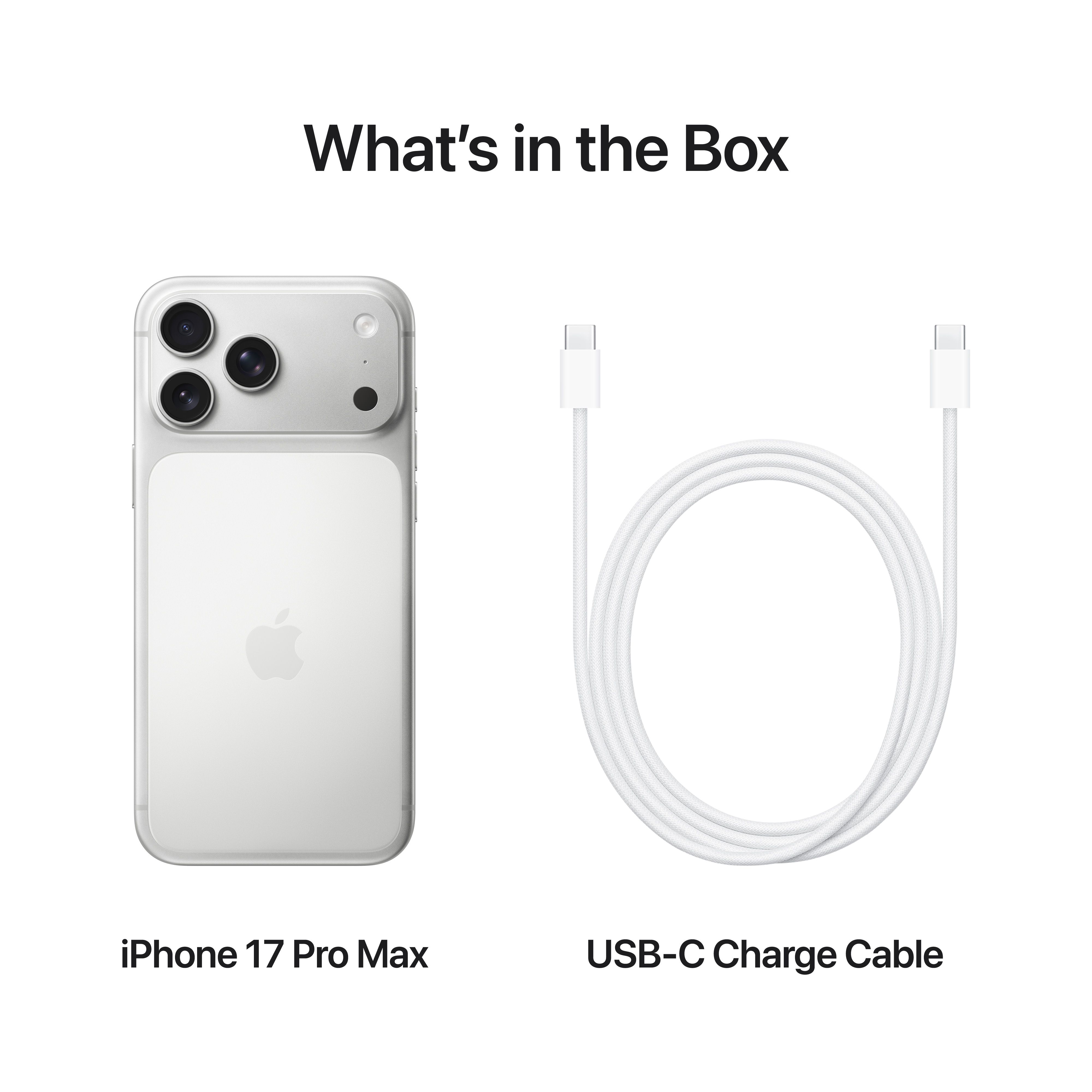 iPhone 17 Pro Max 2TB Silver image 8