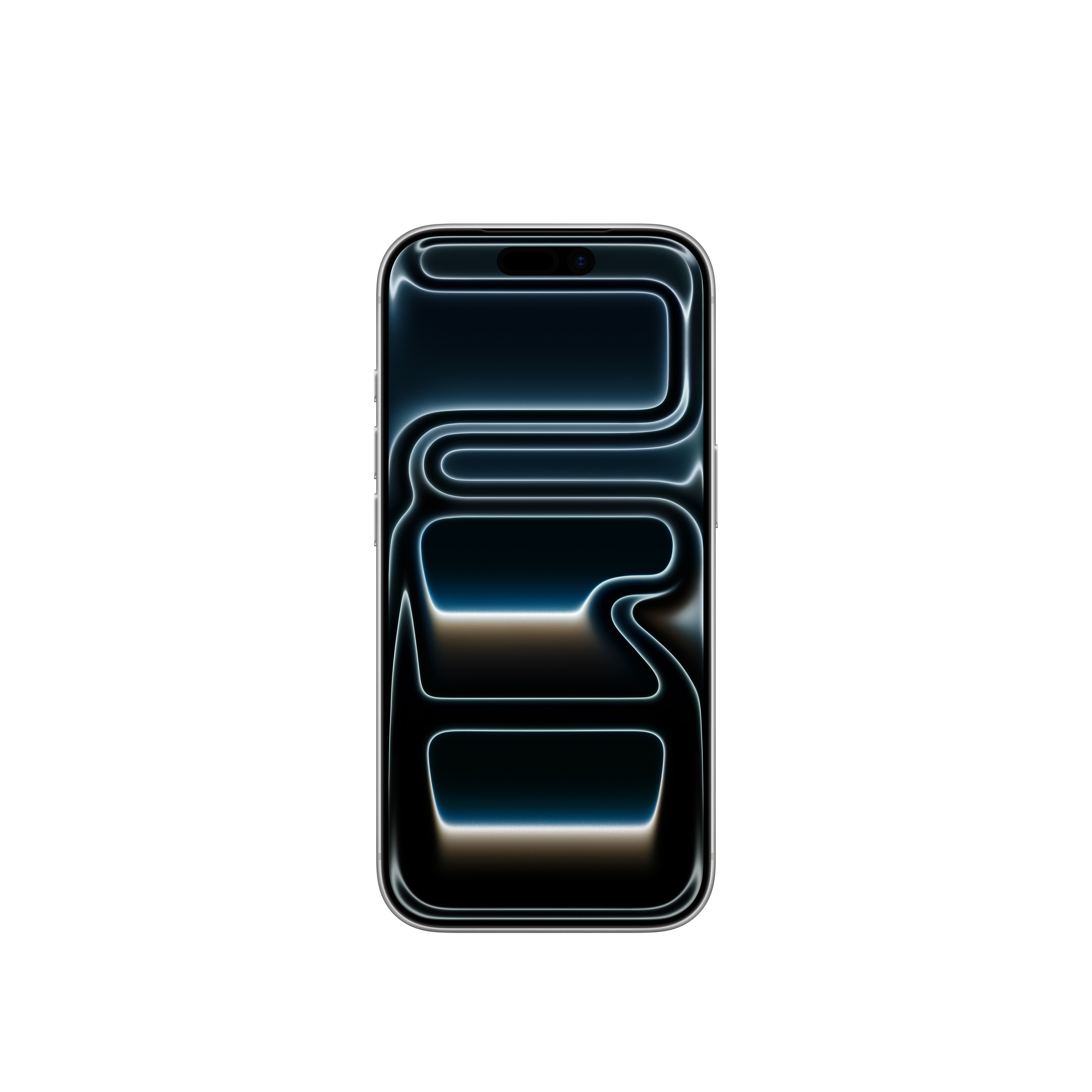 iPhone 17 Pro 1TB Silver image 2