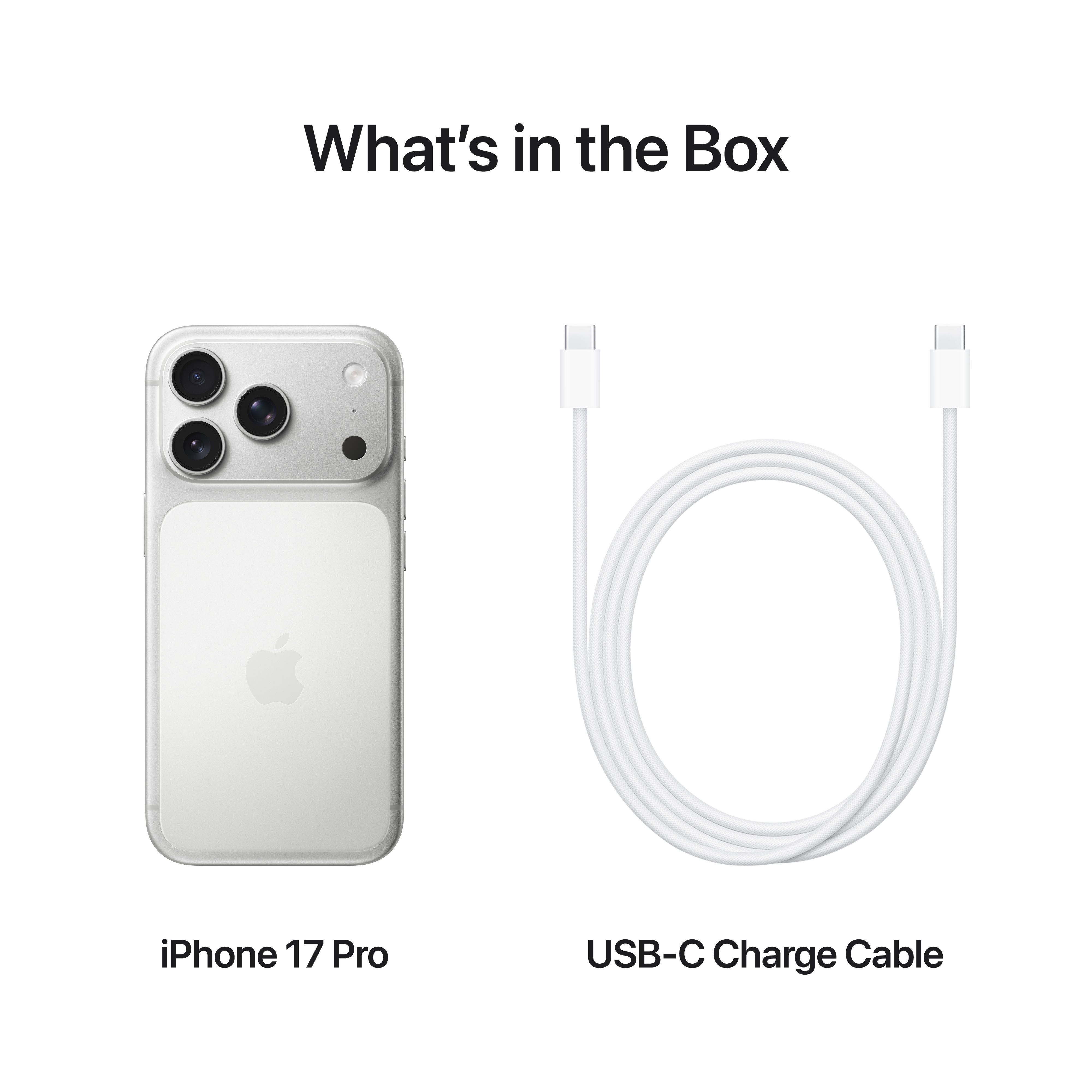 iPhone 17 Pro 1TB Silver image 8
