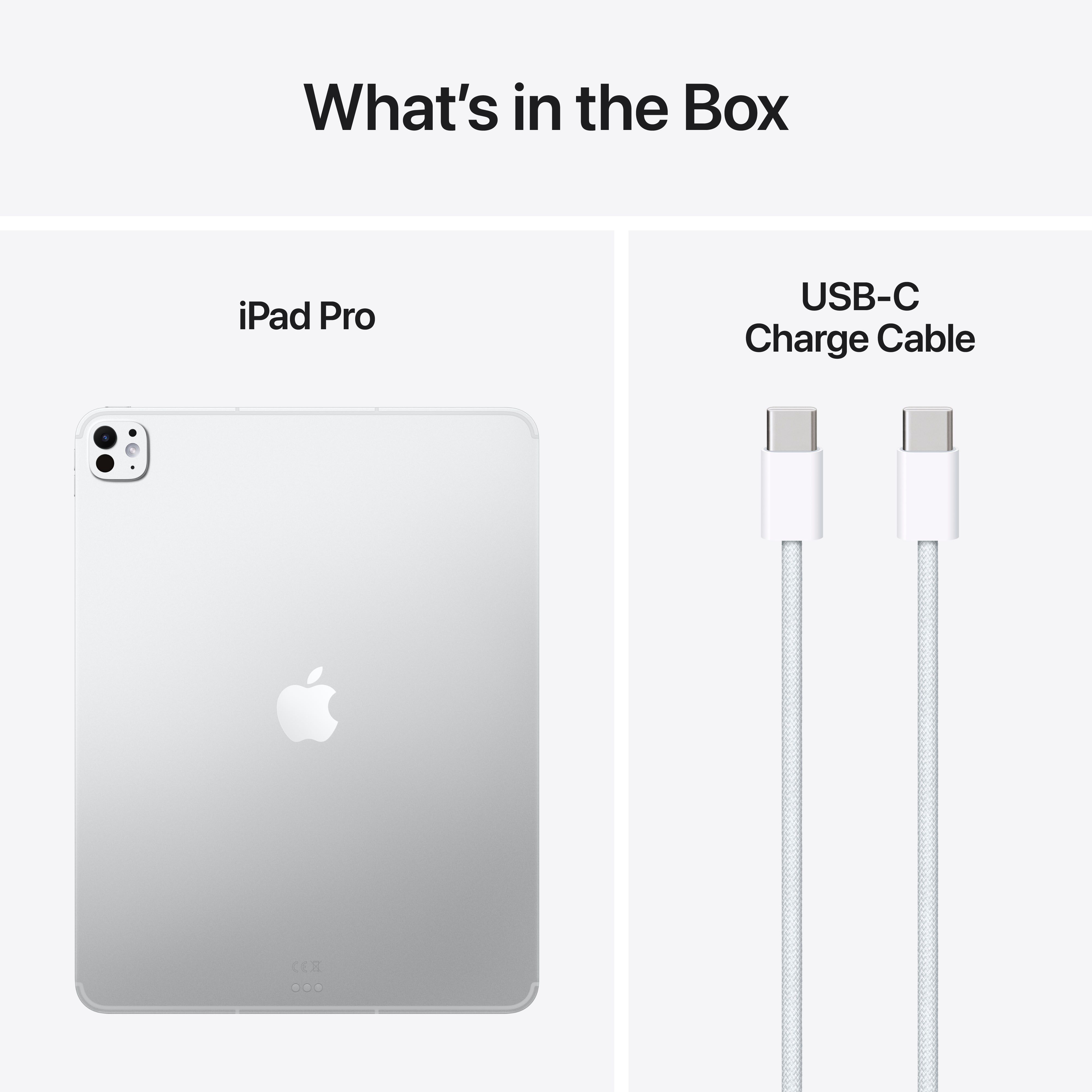 Education iPad Pro 13" 1tb Wifi + Cell 10Core 10Core M5 - Silver image 9