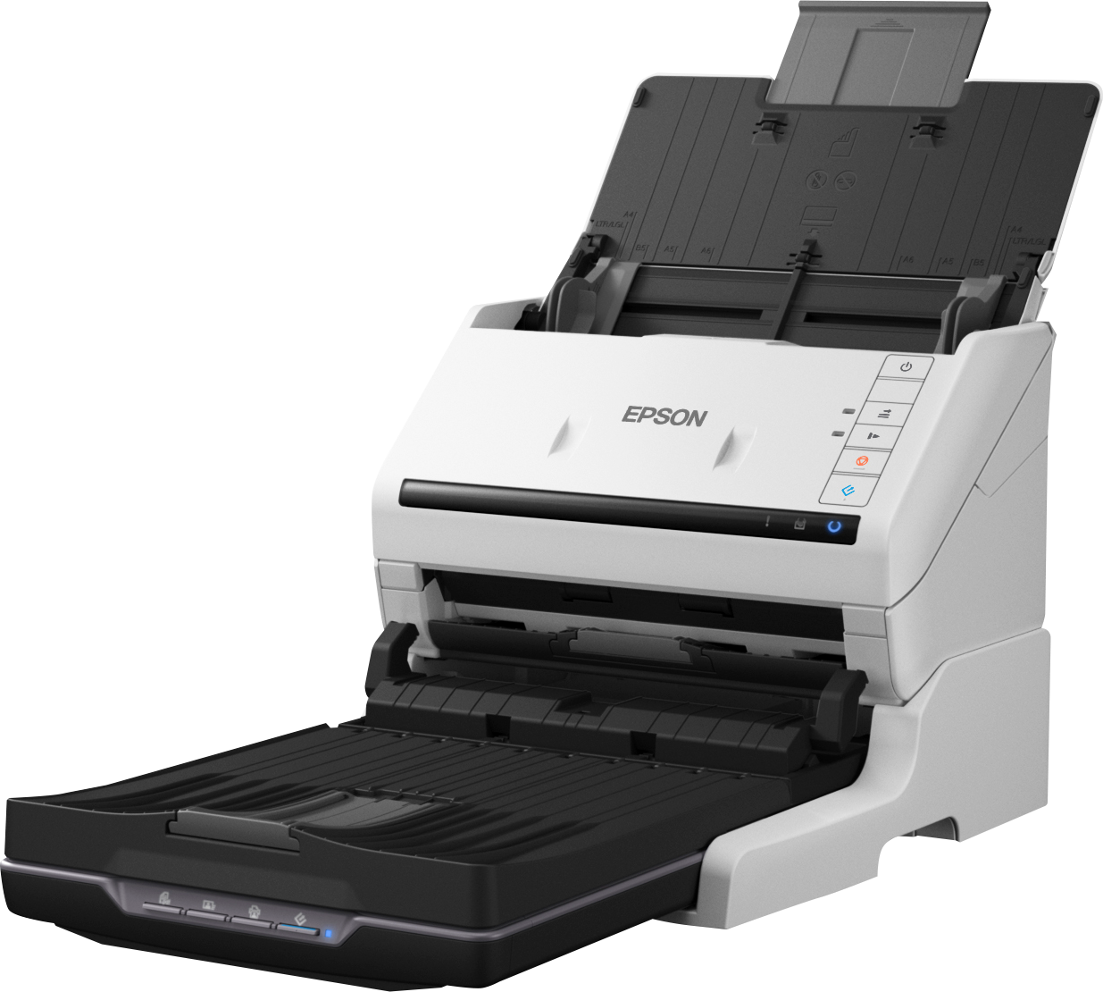 WorkForce DS-770II | Epson South Africa